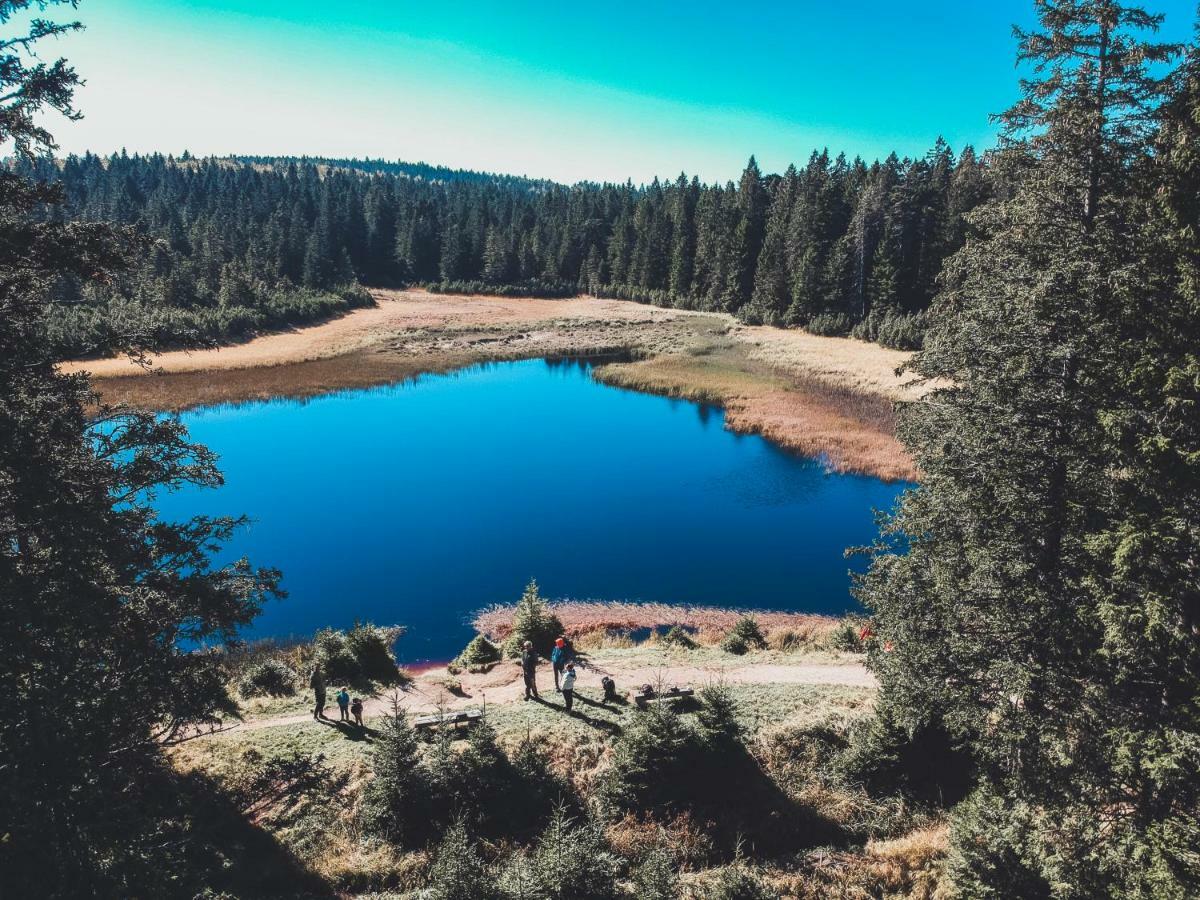 Apartment Bolfenk Pohorje - Forest Nest Hočko Pohorje Εξωτερικό φωτογραφία